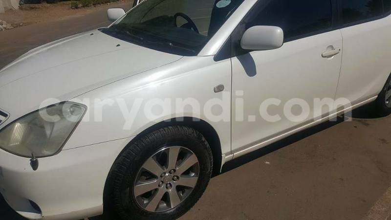 Big with watermark 20638786 2013656942214574 6060596315794500610 n