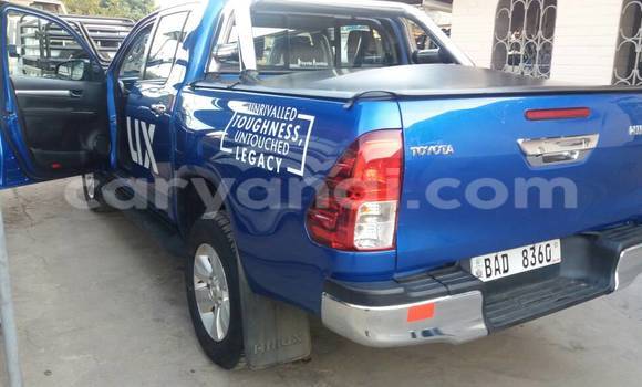 Buy Used Toyota Hilux Blue Car in Lusaka in Zambia Buy Used Toyota Hilux Blue Car in Lusaka in Zambia