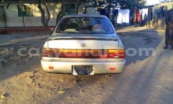 Tenga Tsaru Toyota Corolla Zvimwe Mota in Lusaka in Zambia Tenga Tsaru Toyota Corolla Zvimwe Mota in Lusaka in Zambia
