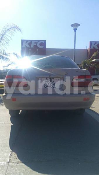 Big with watermark 18952779 709237862582138 3608237861038673941 n