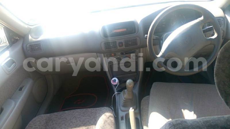 Big with watermark 19030339 709237869248804 8378660185752961642 n