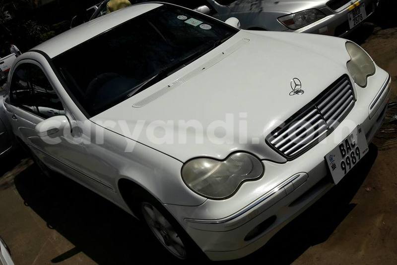 Big with watermark 19030339 709237869248804 8378660185752961642 n