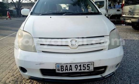 Buy Used Toyota IST White Car in Lusaka in Zambia Buy Used Toyota IST White Car in Lusaka in Zambia