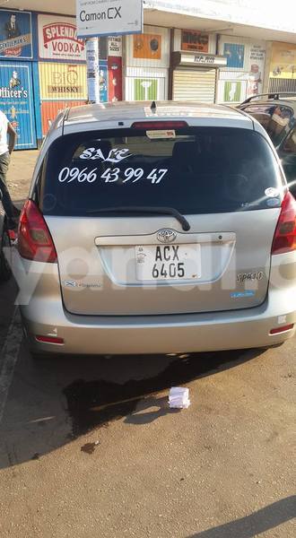 Big with watermark 18952779 709237862582138 3608237861038673941 n