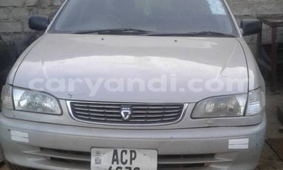 Tenga Tsaru Toyota Corolla Sirivha Mota in Lusaka in Zambia Tenga Tsaru Toyota Corolla Sirivha Mota in Lusaka in Zambia