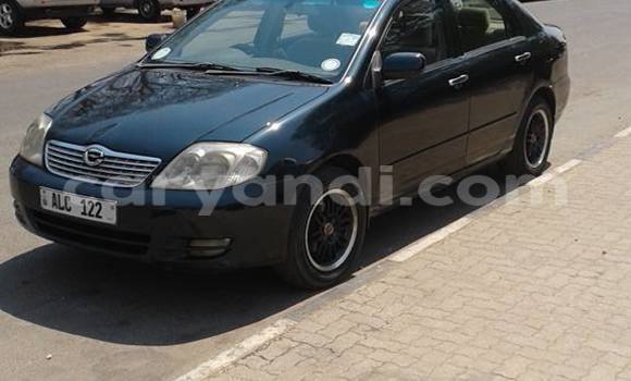 Acheter Occasion Voiture Toyota Corolla Noir à Lusaka, Zambie Acheter Occasion Voiture Toyota Corolla Noir à Lusaka, Zambie