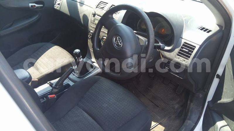 Big with watermark 18954797 10109901822210850 5806381462207131836 o