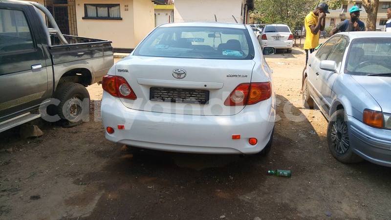 Big with watermark 18952779 709237862582138 3608237861038673941 n