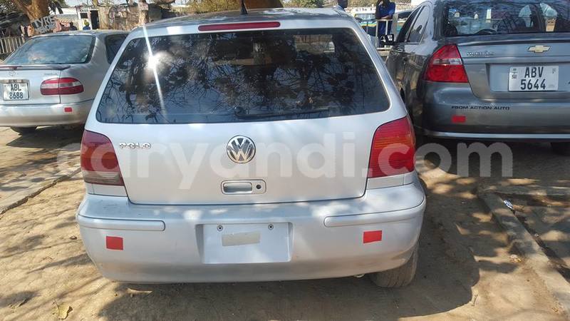 Big with watermark 18952779 709237862582138 3608237861038673941 n