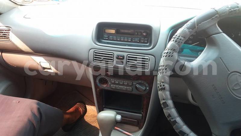 Big with watermark 18954797 10109901822210850 5806381462207131836 o