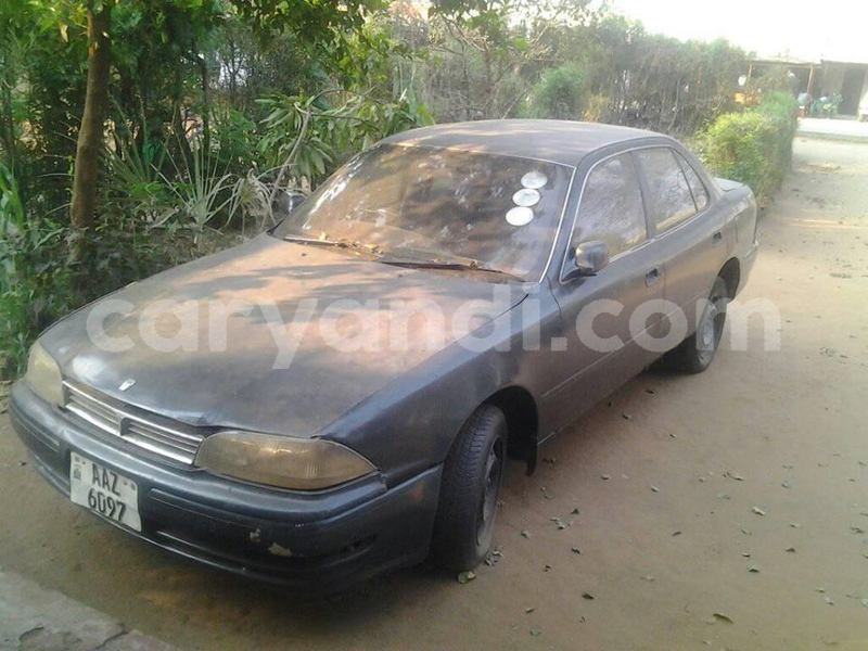 Big with watermark 18952779 709237862582138 3608237861038673941 n