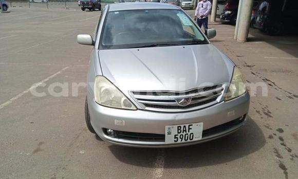 Tenga Tsaru Toyota Allion Sirivha Mota in Lusaka in Zambia Tenga Tsaru Toyota Allion Sirivha Mota in Lusaka in Zambia