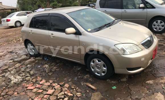 Buy New Toyota Runx Beige Car in Lusaka in Zambia Buy New Toyota Runx Beige Car in Lusaka in Zambia