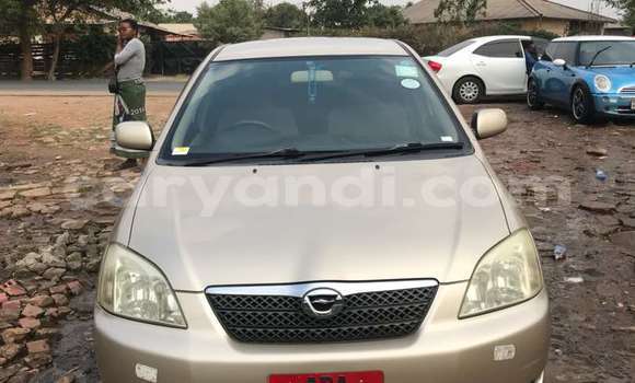 Buy New Toyota Runx Beige Car in Lusaka in Zambia Buy New Toyota Runx Beige Car in Lusaka in Zambia