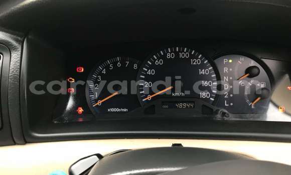 Buy New Toyota Runx Beige Car in Lusaka in Zambia Buy New Toyota Runx Beige Car in Lusaka in Zambia