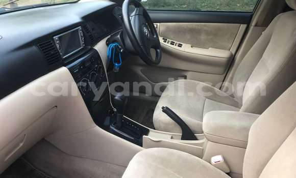 Buy New Toyota Runx Beige Car in Lusaka in Zambia Buy New Toyota Runx Beige Car in Lusaka in Zambia