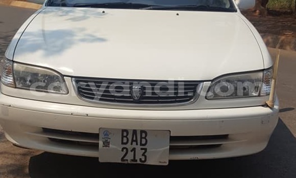 Buy Used Toyota Corolla White Car in Lusaka in Zambia Buy Used Toyota Corolla White Car in Lusaka in Zambia