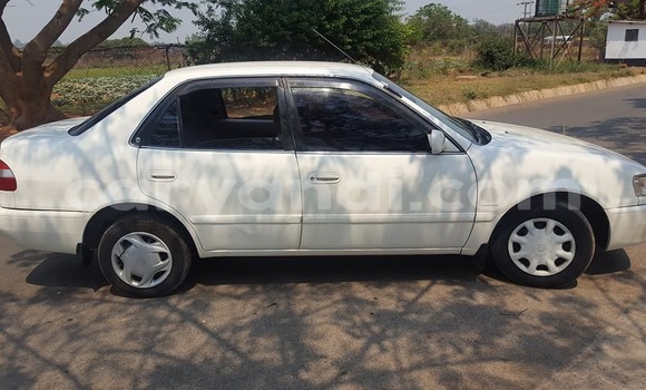 Buy Used Toyota Corolla White Car in Lusaka in Zambia Buy Used Toyota Corolla White Car in Lusaka in Zambia