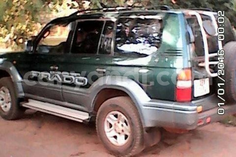 Big with watermark 18952779 709237862582138 3608237861038673941 n