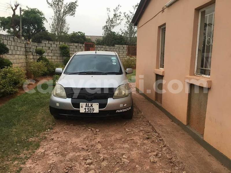 Big with watermark 18954797 10109901822210850 5806381462207131836 o