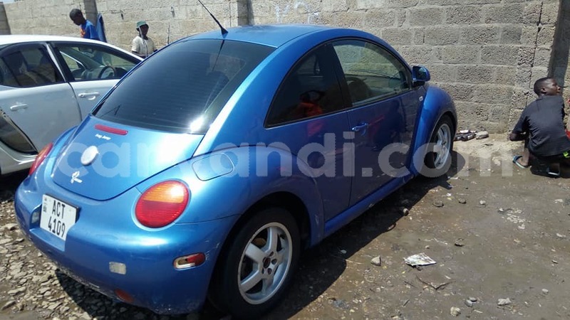 Big with watermark 18952779 709237862582138 3608237861038673941 n