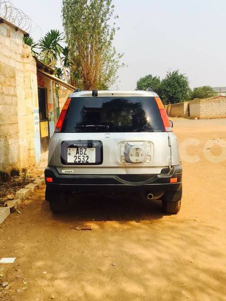 Big with watermark 18952779 709237862582138 3608237861038673941 n