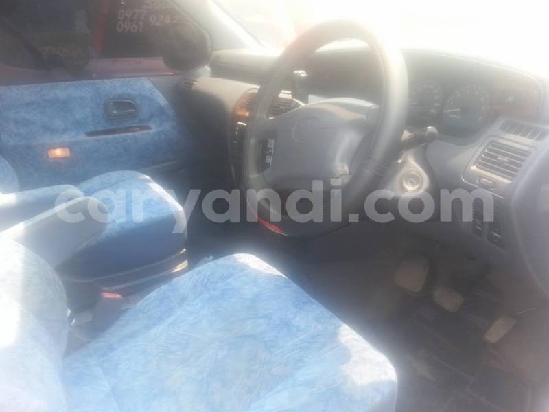 Big with watermark 18954797 10109901822210850 5806381462207131836 o