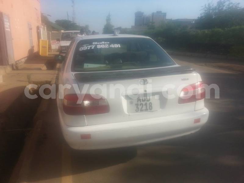 Big with watermark 18952779 709237862582138 3608237861038673941 n