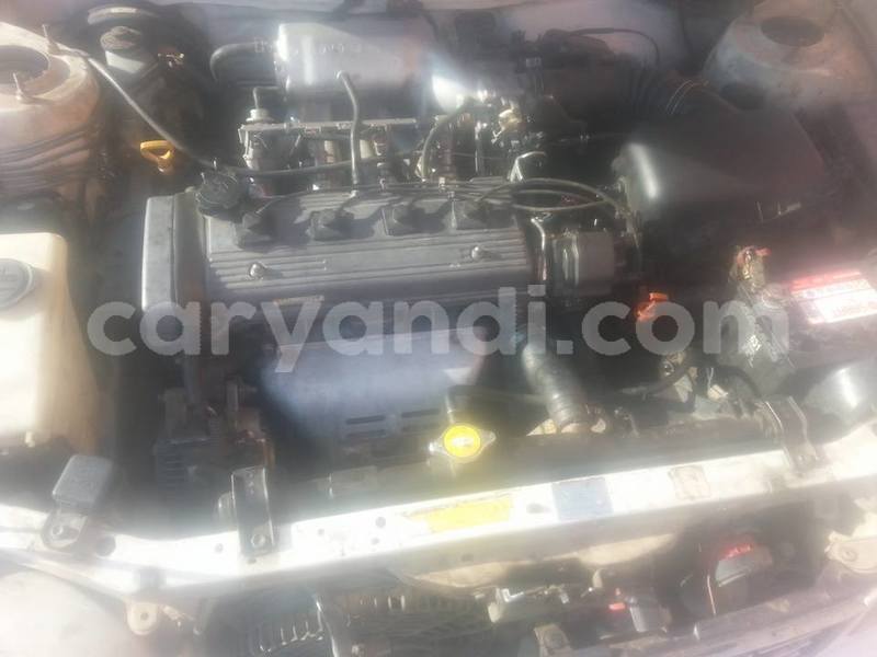 Big with watermark 19030339 709237869248804 8378660185752961642 n