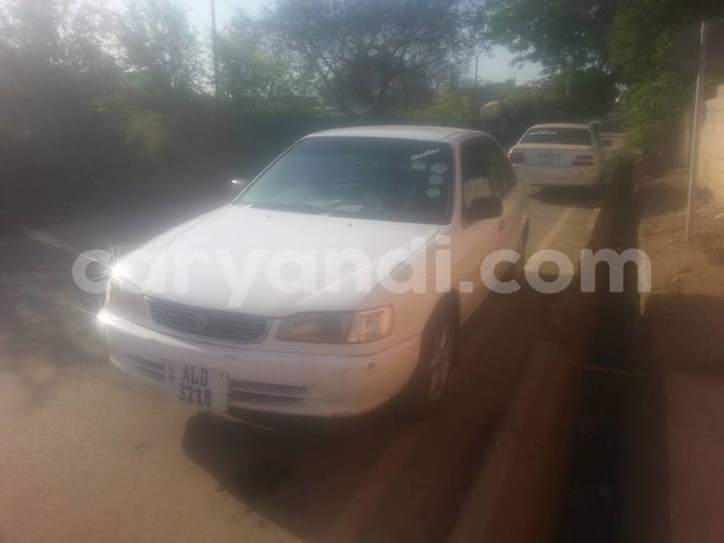 Big with watermark 19030650 709237865915471 5780759566154516871 n