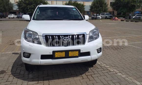 Buy Used Toyota Prado White Car in Lusaka in Zambia Buy Used Toyota Prado White Car in Lusaka in Zambia