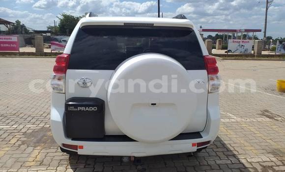 Buy Used Toyota Prado White Car in Lusaka in Zambia Buy Used Toyota Prado White Car in Lusaka in Zambia