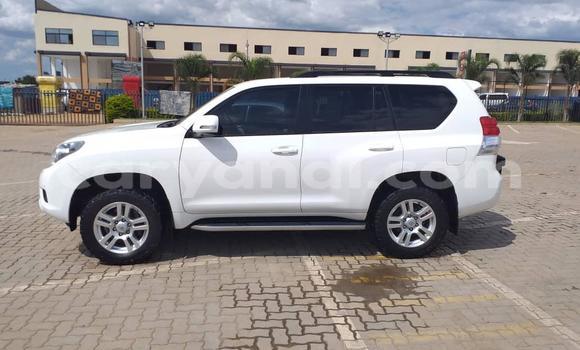 Buy Used Toyota Prado White Car in Lusaka in Zambia Buy Used Toyota Prado White Car in Lusaka in Zambia