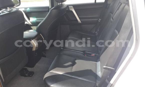 Buy Used Toyota Prado White Car in Lusaka in Zambia Buy Used Toyota Prado White Car in Lusaka in Zambia