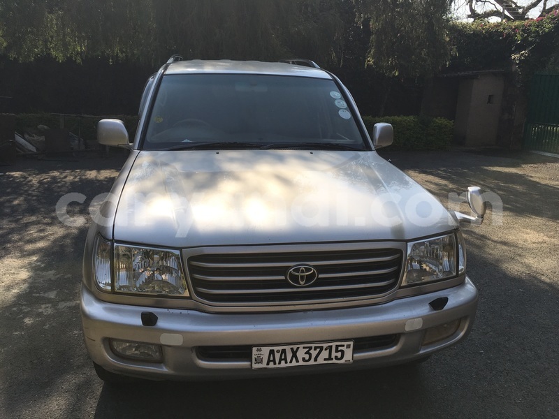 Big with watermark image