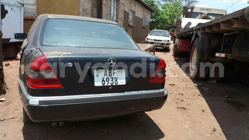 Big with watermark 18952779 709237862582138 3608237861038673941 n