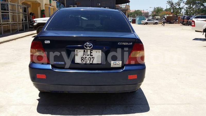 Big with watermark 18952779 709237862582138 3608237861038673941 n