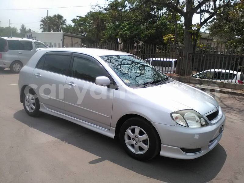 Big with watermark 19030650 709237865915471 5780759566154516871 n