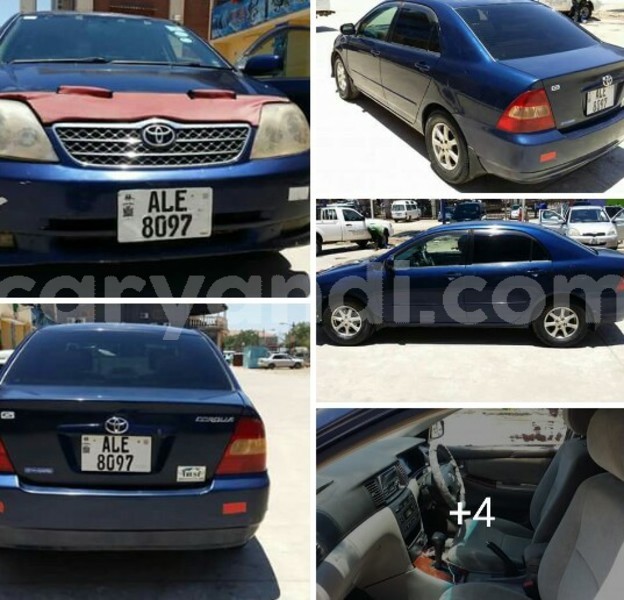 Big with watermark 18952779 709237862582138 3608237861038673941 n