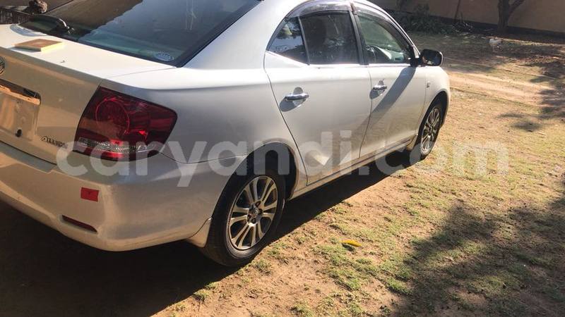 Big with watermark 18952779 709237862582138 3608237861038673941 n