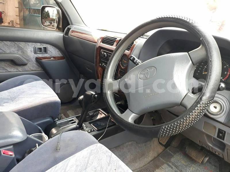 Big with watermark 19030339 709237869248804 8378660185752961642 n