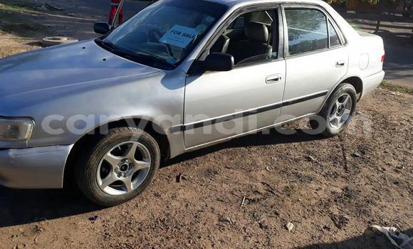 Acheter Occasion Voiture Toyota Corolla Gris à Lusaka, Zambie Acheter Occasion Voiture Toyota Corolla Gris à Lusaka, Zambie