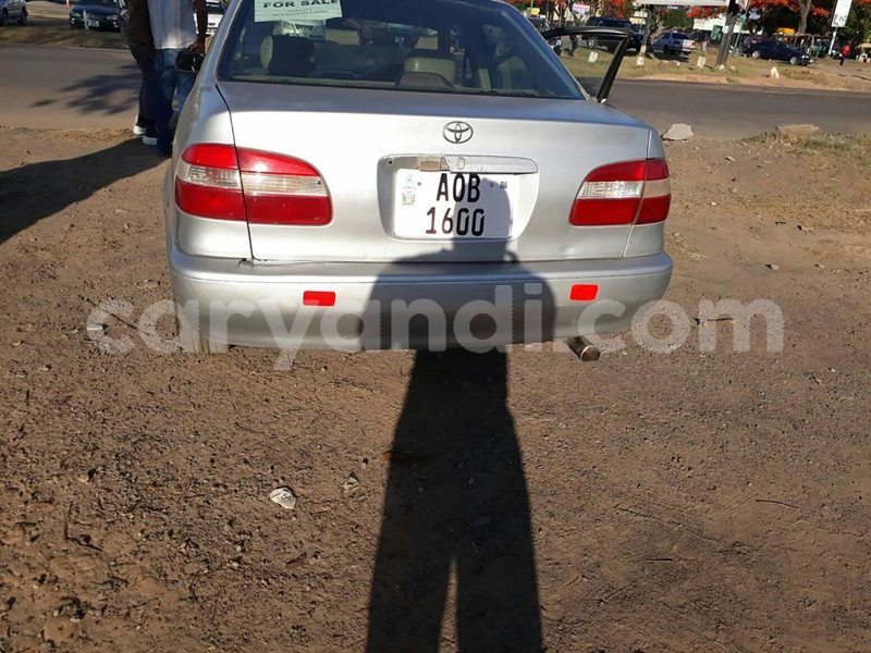 Big with watermark 18954797 10109901822210850 5806381462207131836 o