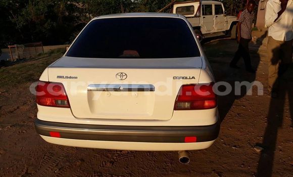 Acheter Occasion Voiture Toyota Corolla Blanc à Lusaka, Zambie Acheter Occasion Voiture Toyota Corolla Blanc à Lusaka, Zambie