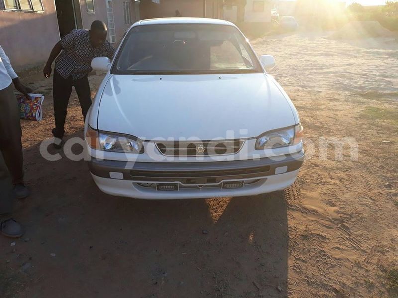 Big with watermark 18954797 10109901822210850 5806381462207131836 o