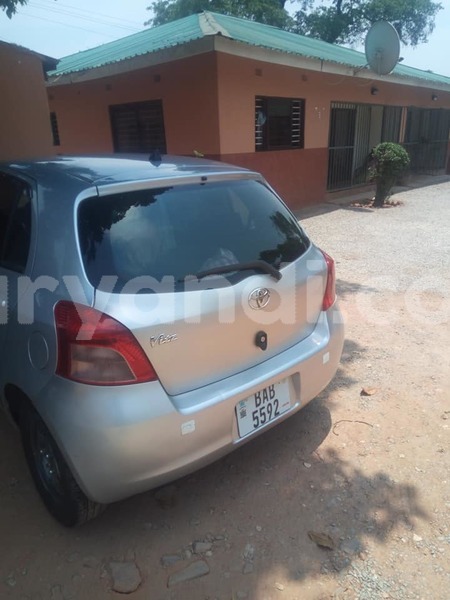 Big with watermark 18954797 10109901822210850 5806381462207131836 o