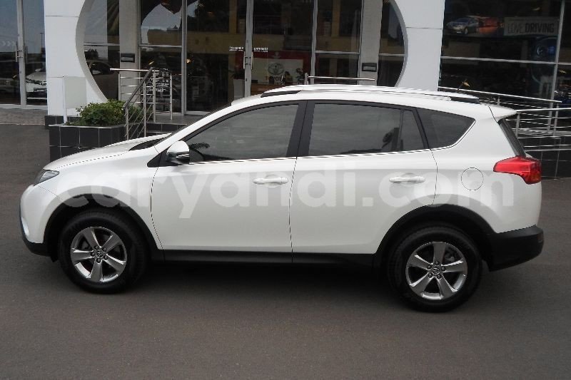 Big with watermark 120