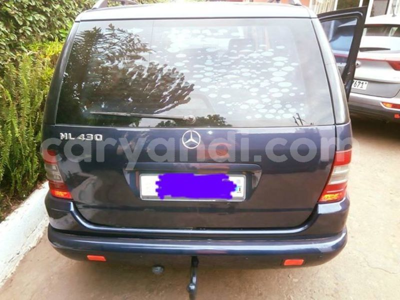 Big with watermark ml5