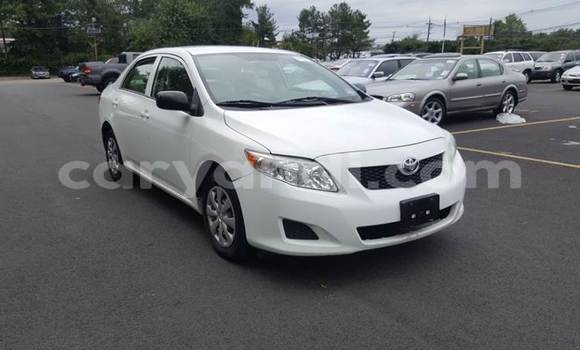 Buy Used Toyota Corolla White Car in Lusaka in Zambia Buy Used Toyota Corolla White Car in Lusaka in Zambia