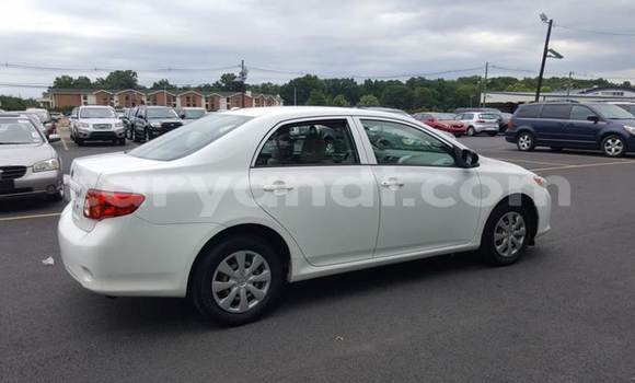 Buy Used Toyota Corolla White Car in Lusaka in Zambia Buy Used Toyota Corolla White Car in Lusaka in Zambia